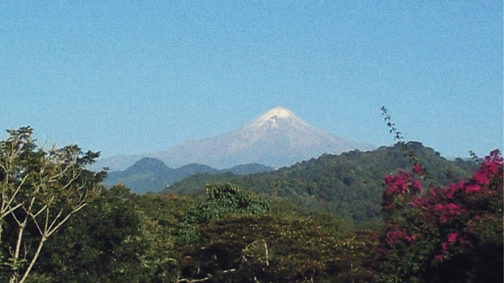Finca de Café Verde Descafeinado Con Agua Del Pico De Orizaba Proceso Natural de Córdoba Veracruz