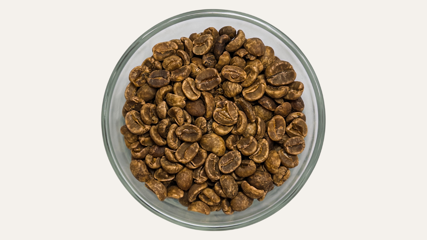 Café Verde Descafeinado Proceso Natural Mountain Water Process con Agua Del Pico De Orizaba de Córdoba Veracruz