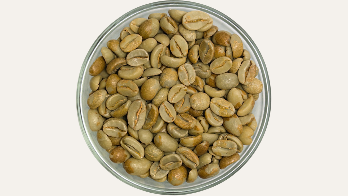 Café Verde Arábica Premium Europea de Chocamán, Veracruz Rancho San Felipe