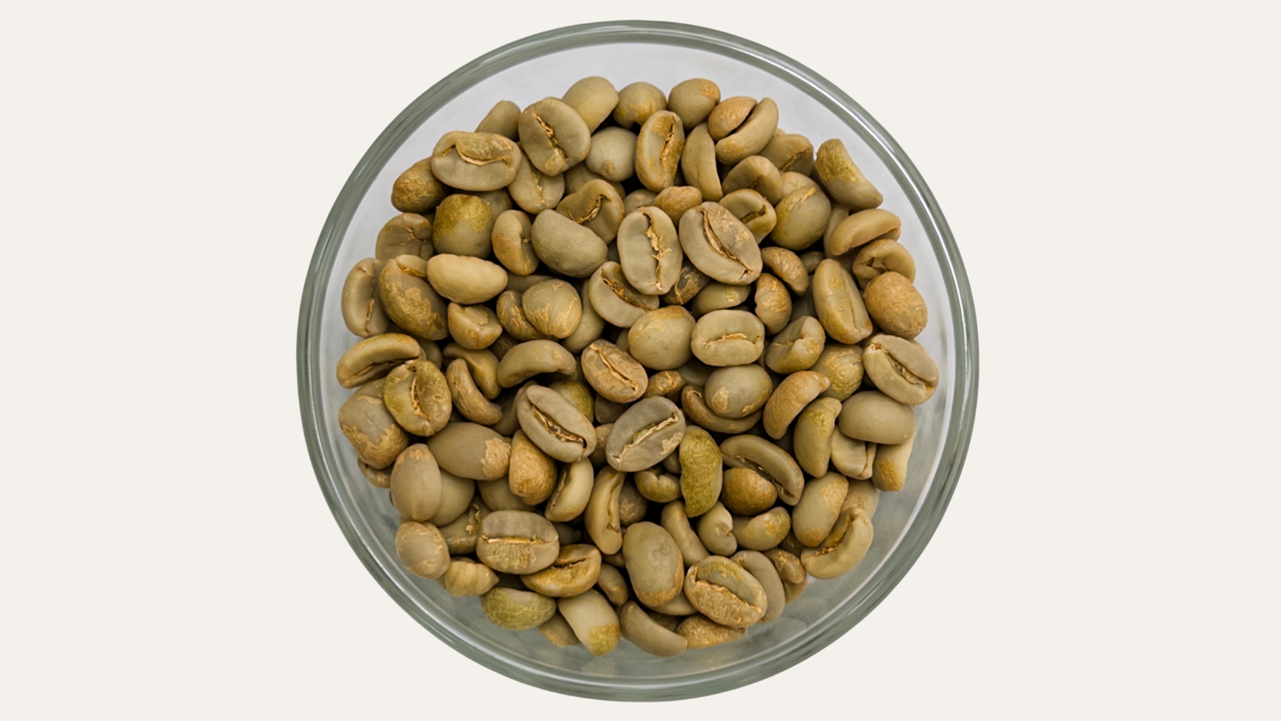 Café Verde Arábica Premium Chocamán Grano Verde 