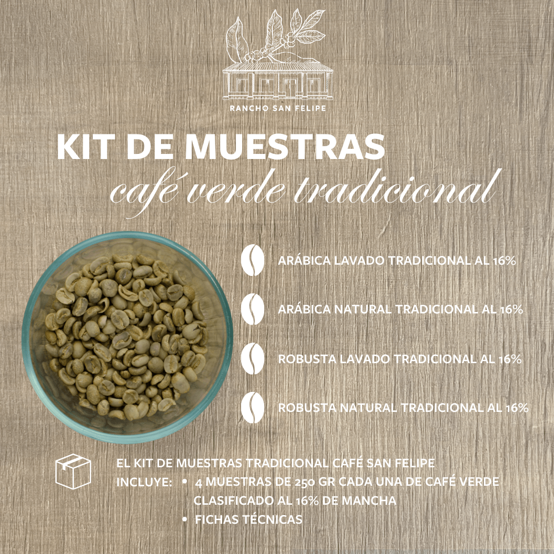 Descripción de muestras de café verde arábica y robusta de Córdoba Veracruz de Cafetalera San Felipe