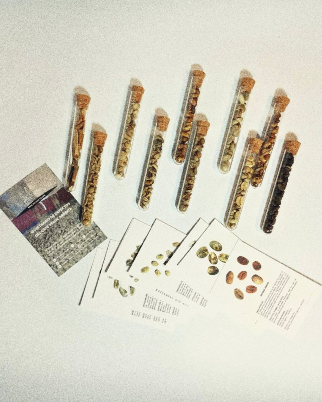 Kit Muestrario De Defectos En El Café