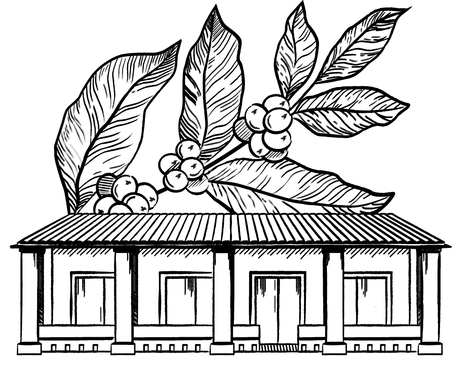 Cafetalera San Felipe