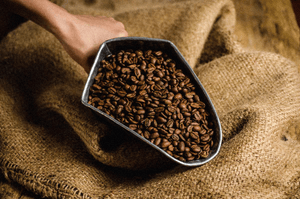 Café Tostado Altura Premium 1kg